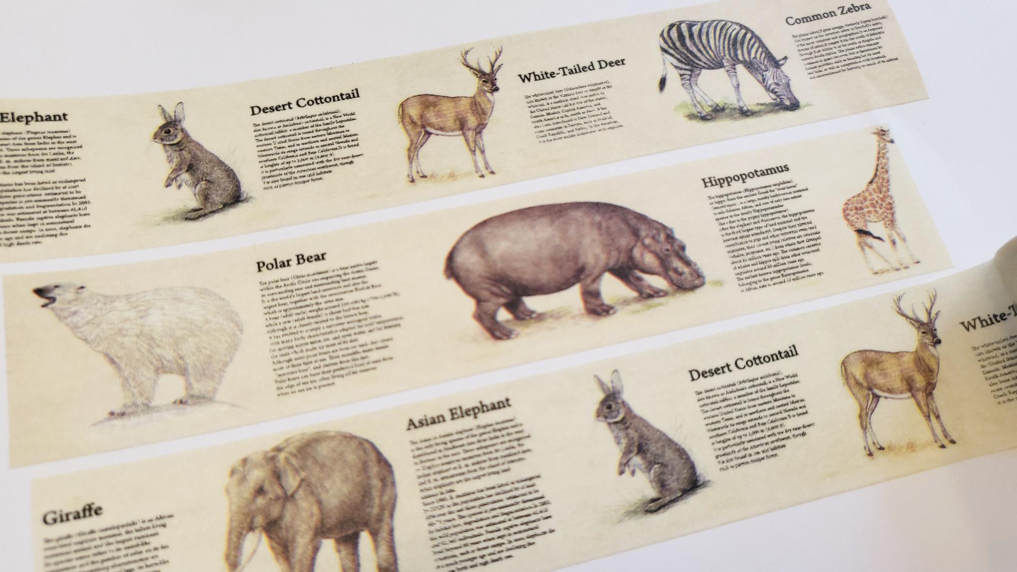 Design Washi Tape Encyclopaedia